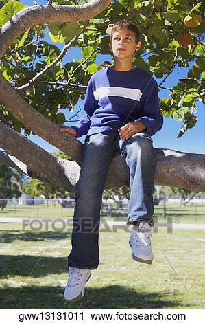 Stock Image - Low angle view of a teenage boy sitting on the branch of a tree and looking away. Fotosearch