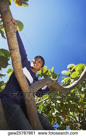 Stock Image - Low angle view of a teenage boy climbing a tree. Fotosearch