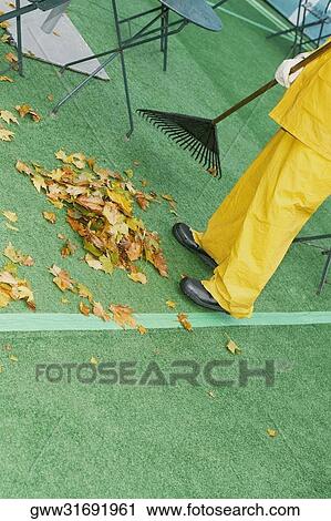 Low section view of a sweeper sweeping dry maple leaves View Large Photo Image Stock Image - Low section view of a sweeper sweeping dry maple leaves. Fotosearch