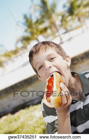 Portrait of a boy eating a hot dog View Large Photo Image Stock Image - Portrait of a boy eating a hot dog. Fotosearch