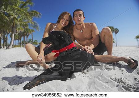 Portrait of a mid adult man and a young woman sitting with their dog on the beach View Large Photo Image Stock Image - Portrait of a mid adult man and a young woman sitting with their dog on the beach. Fotosearch