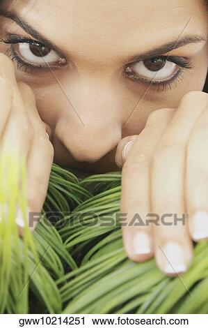 Portrait of a young woman separating wheatgrass with her hands View Large Photo Image Stock Image - Portrait of a young woman separating wheatgrass with her hands. Fotosearch