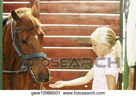 Side profile of a girl standing with a horse in a stable View Large Photo Image Stock Image - Side profile of a girl standing with a horse in a stable. Fotosearch