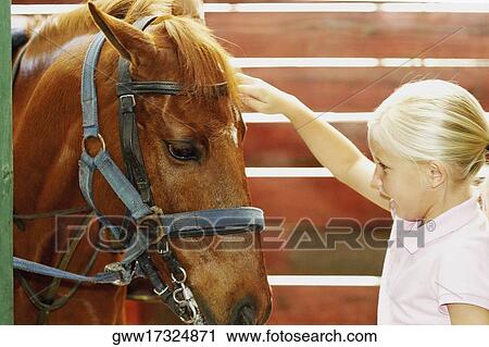 Side profile of a girl touching a horse in a stable View Large Photo Image Stock Image - Side profile of a girl touching a horse in a stable. Fotosearch