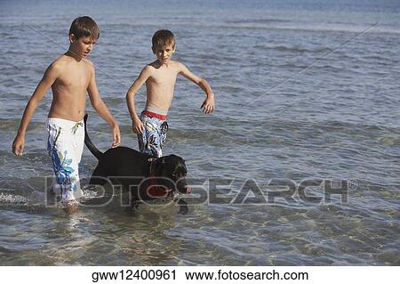 Stock Image - Teenage boy and a boy with a dog walking in the sea. Fotosearch