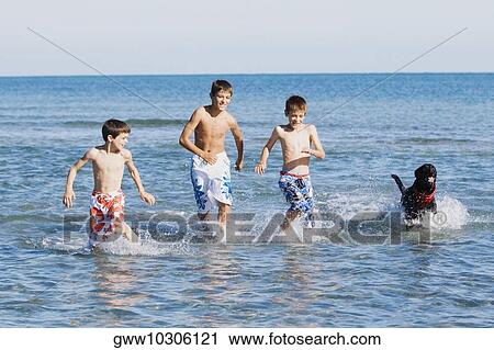 Stock Image - Teenage boy running with his two brothers and a dog in water. Fotosearch
