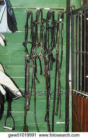 Stock Image - Bridles with stirrups hanging in a stable. Fotosearch
