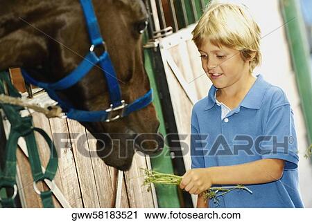 Close-up of a boy feeding grass to a horse View Large Photo Image Stock Image - Close-up of a boy feeding grass to a horse. Fotosearch