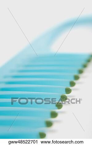 Close-up of a comb View Large Photo Image Stock Image - Close-up of a comb. Fotosearch
