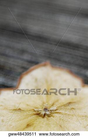 Close-up of a dried slice of fruit View Large Photo Image Stock Image - Close-up of a dried slice of fruit. Fotosearch