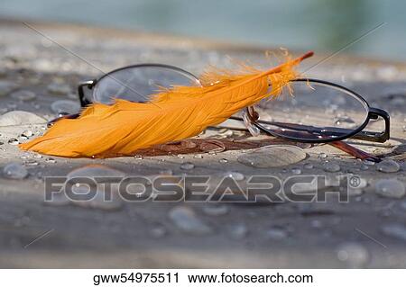 Close-up of a feather with eyeglasses View Large Photo Image Stock Image - Close-up of a feather with eyeglasses. Fotosearch