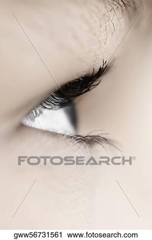 Close-up of a human eye View Large Photo Image Stock Image - Close-up of a human eye. Fotosearch