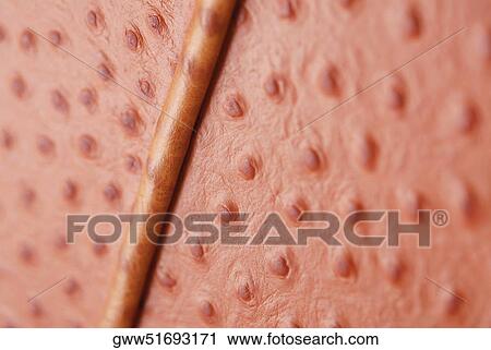 Close-up of a leather surface View Large Photo Image Stock Image - Close-up of a leather surface. Fotosearch