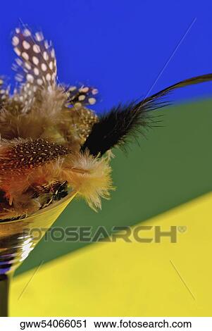 Stock Image - Close-up of a martini glass full of feathers. Fotosearch