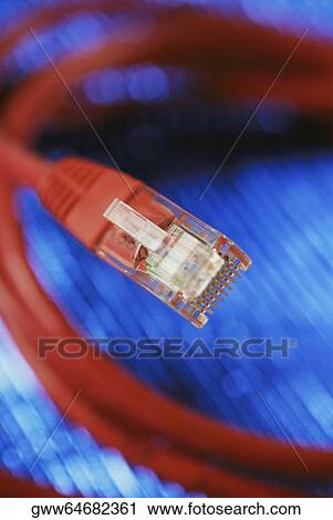 Close-up of a network connection plug View Large Photo Image Stock Image - Close-up of a network connection plug. Fotosearch