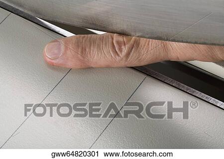 Close-up of a person's finger under a cutter View Large Photo Image Stock Image - Close-up of a person's finger under a cutter. Fotosearch