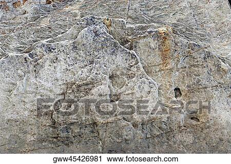 Close-up of a rock View Large Photo Image Stock Image - Close-up of a rock. Fotosearch
