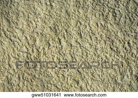 Close-up of a rock View Large Photo Image Stock Image - Close-up of a rock. Fotosearch
