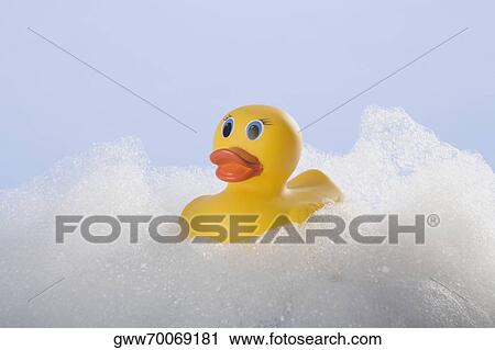 Close-up of a rubber duck on soap suds View Large Photo Image Stock Image - Close-up of a rubber duck on soap suds. Fotosearch