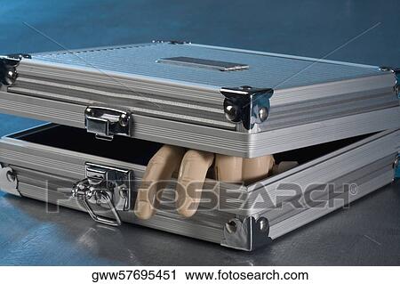 Close-up of a sculpture of human fingers in a briefcase View Large Photo Image Stock Image - Close-up of a sculpture of human fingers in a briefcase. Fotosearch