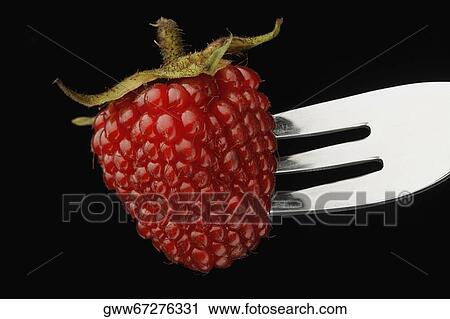 Close-up of a strawberry on a fork View Large Photo Image Stock Image - Close-up of a strawberry on a fork. Fotosearch