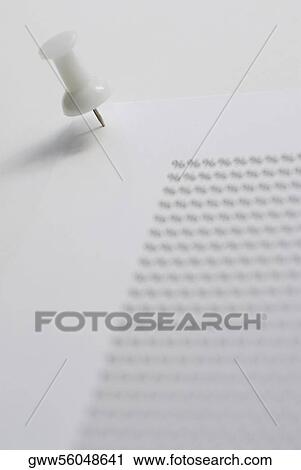 Close-up of a thumbtack on a document View Large Photo Image Stock Image - Close-up of a thumbtack on a document. Fotosearch