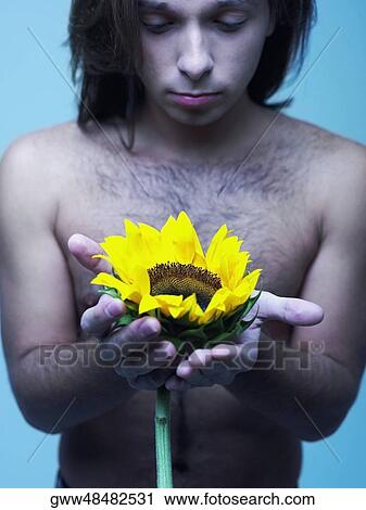 Close-up of a young man holding a sunflower View Large Photo Image Stock Image - Close-up of a young man holding a sunflower. Fotosearch