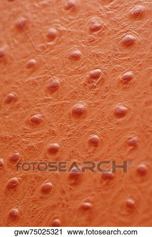 Stock Image - Close-up of bumps on the surface of leather. Fotosearch