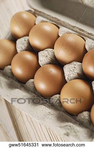 Close-up of eggs in a carton View Large Photo Image Stock Image - Close-up of eggs in a carton. Fotosearch
