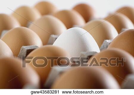 Close-up of eggs in an egg carton View Large Photo Image Stock Image - Close-up of eggs in an egg carton. Fotosearch