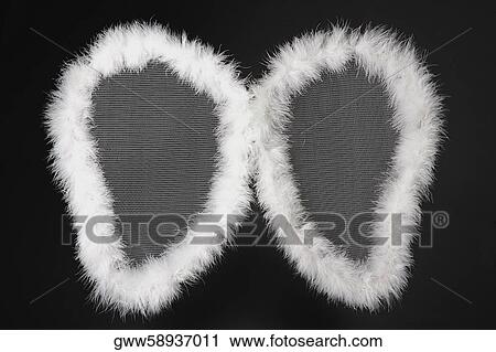 Stock Image - Close-up of fairy wings. Fotosearch