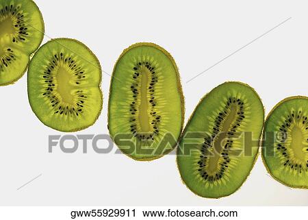 Close-up of five slices of kiwi fruit View Large Photo Image Stock Image - Close-up of five slices of kiwi fruit. Fotosearch