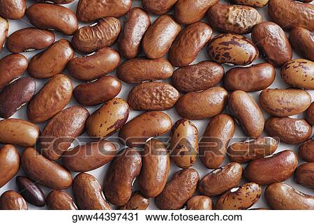 Close-up of kidney beans View Large Photo Image Stock Image - Close-up of kidney beans. Fotosearch