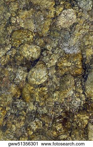 Stock Image - Close-up of moss on rocks. Fotosearch