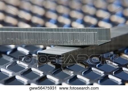 Close-up of staples on a metal grille View Large Photo Image Stock Image - Close-up of staples on a metal grille. Fotosearch