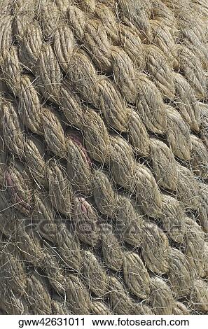 Stock Image - Close-up of tangled rope. Fotosearch