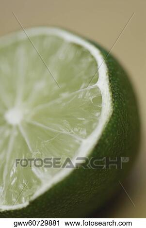 Close-up of the cross section of a lemon View Large Photo Image Stock Image - Close-up of the cross section of a lemon. Fotosearch