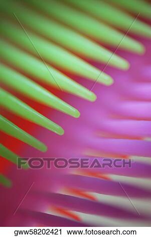 Close-up of three combs View Large Photo Image Stock Image - Close-up of three combs. Fotosearch