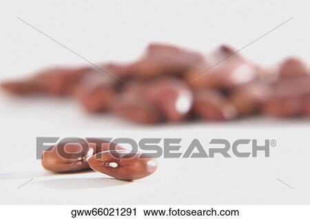 Close-up of two kidney beans View Large Photo Image Stock Image - Close-up of two kidney beans. Fotosearch