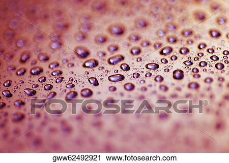 Close-up of water drops on a smooth surface View Large Photo Image Stock Image - Close-up of water drops on a smooth surface. Fotosearch
