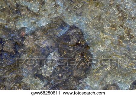 Close-up of water on rocks View Large Photo Image Stock Image - Close-up of water on rocks. Fotosearch