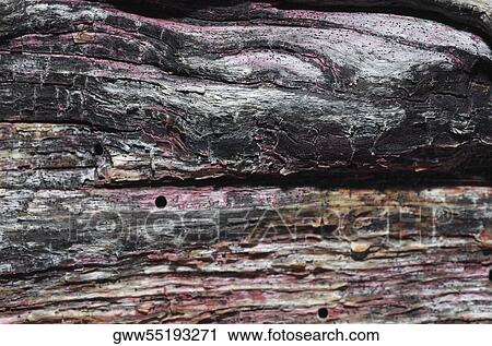 Close-up of wood View Large Photo Image Stock Image - Close-up of wood. Fotosearch