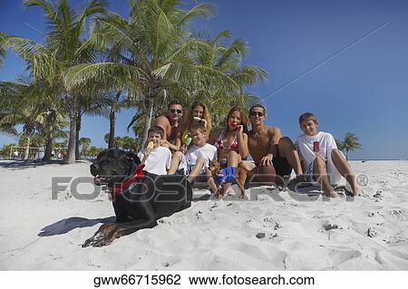 Group of people sitting with dogs on the beach View Large Photo Image Stock Image - Group of people sitting with dogs on the beach. Fotosearch
