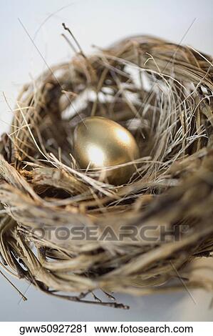 High angle view of a golden egg in a nest View Large Photo Image Stock Image - High angle view of a golden egg in a nest. Fotosearch