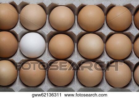 High angle view of an egg carton View Large Photo Image Stock Image - High angle view of an egg carton. Fotosearch