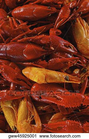 High angle view of crabs View Large Photo Image Stock Image - High angle view of crabs. Fotosearch