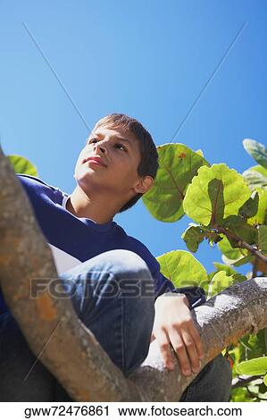 Low angle view of a teenage boy sitting on the branch of a tree and looking away View Large Photo Image Stock Image - Low angle view of a teenage boy sitting on the branch of a tree and looking away. Fotosearch