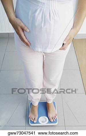 Low section view of a pregnant woman standing on a weighing scale View Large Photo Image Stock Image - Low section view of a pregnant woman standing on a weighing scale. Fotosearch