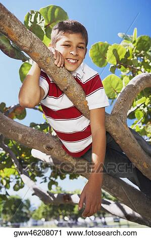 Portrait of a boy on a tree branch View Large Photo Image Stock Image - Portrait of a boy on a tree branch. Fotosearch
