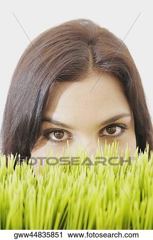 Portrait of a young woman peeking over wheatgrass View Large Photo Image Stock Image - Portrait of a young woman peeking over wheatgrass. Fotosearch